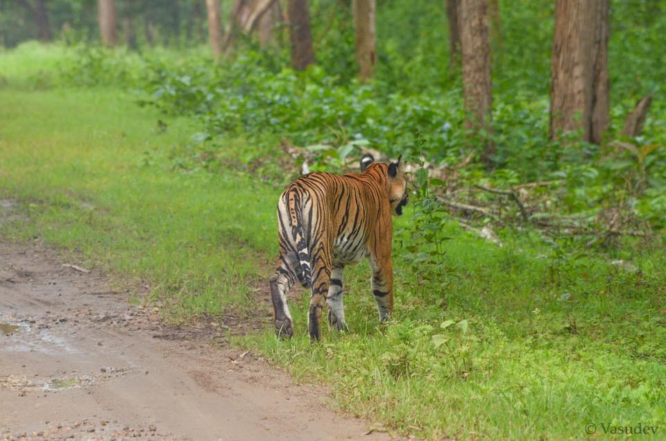 Nagarhole Tiger Reserve, Karnataka