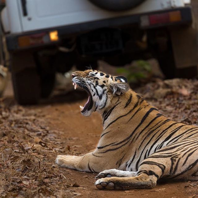 UMRED Karhandla Wildlife Sanctuary