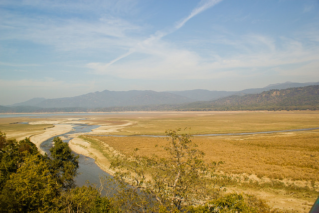 Jim Corbett National Park